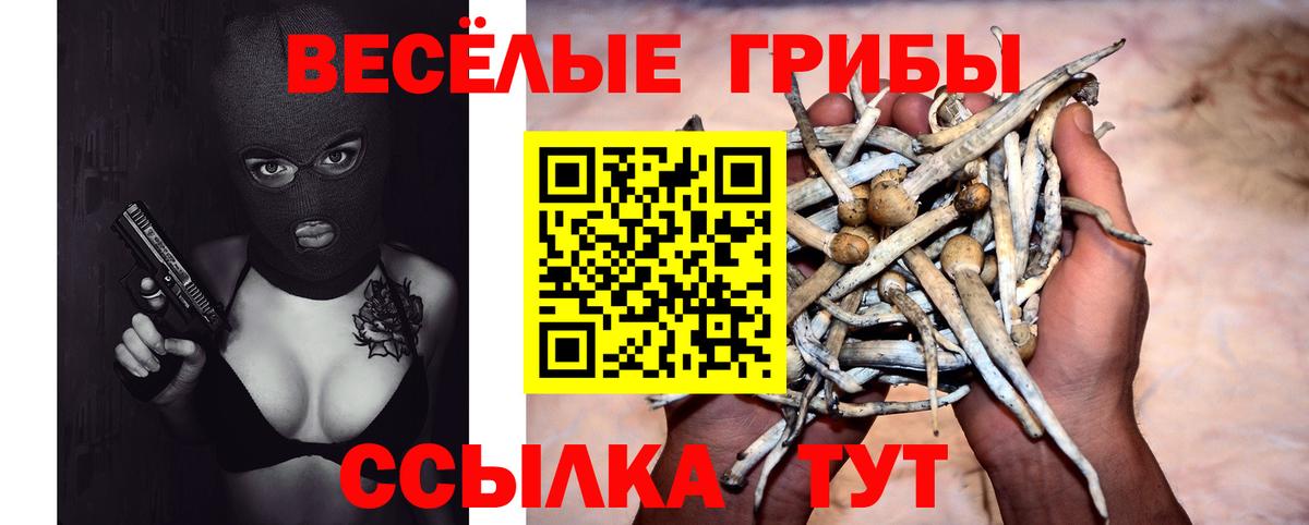 Якутск  Псилоцибиновые грибы MAGIC MUSHROOMS  Псилоцибиновые грибы Psilocybine cubensis  Вход с VPN 